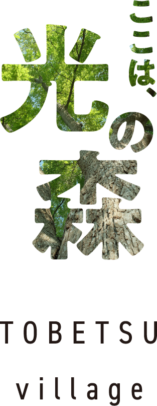 ここは光の森